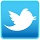 Twitter icon image